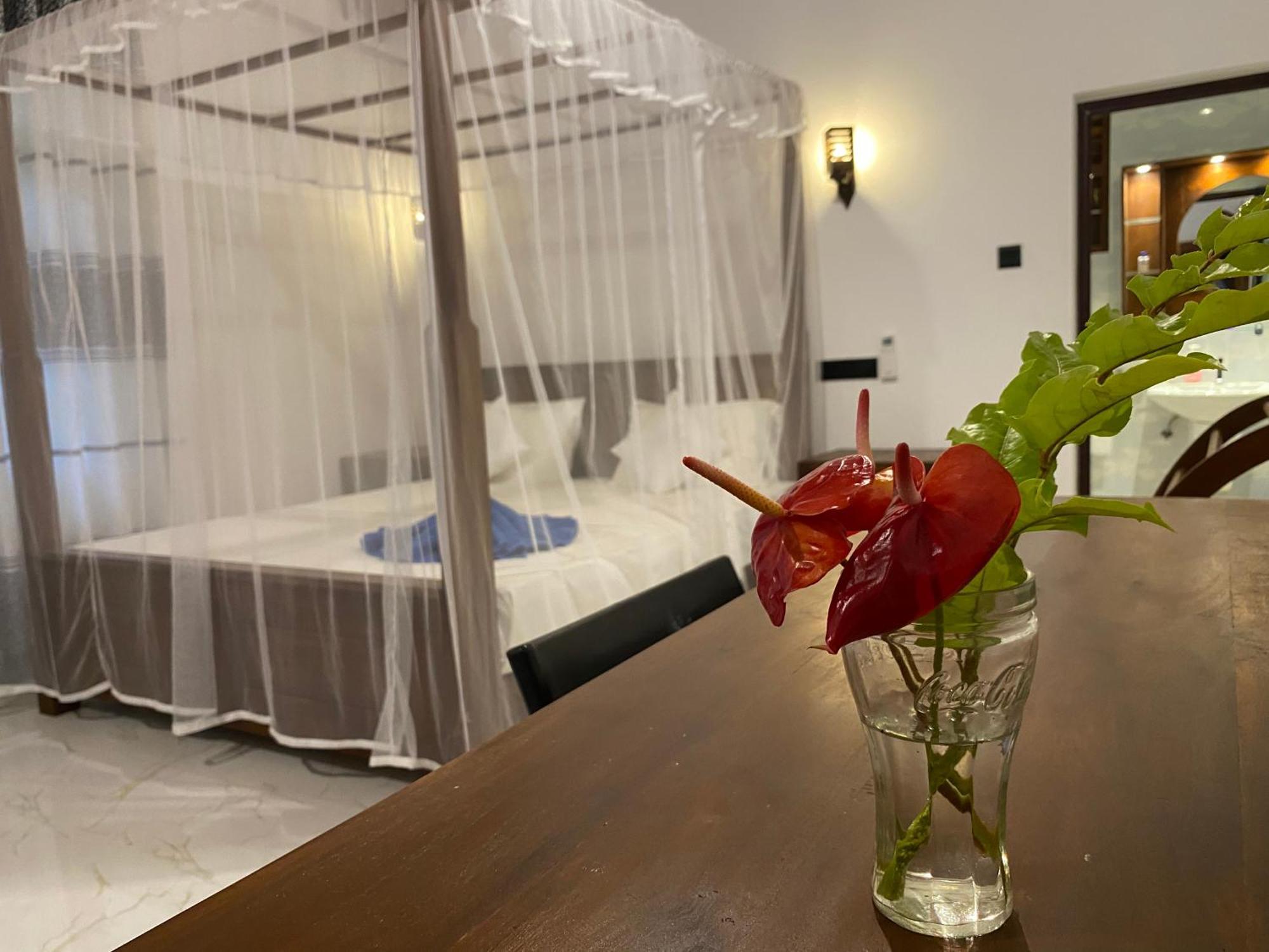 טנגלה See Turtle Villa מראה חיצוני תמונה